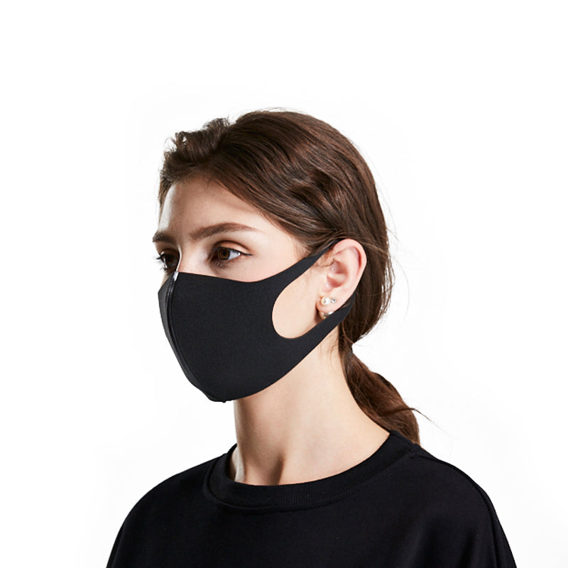  Protective Dust Mask